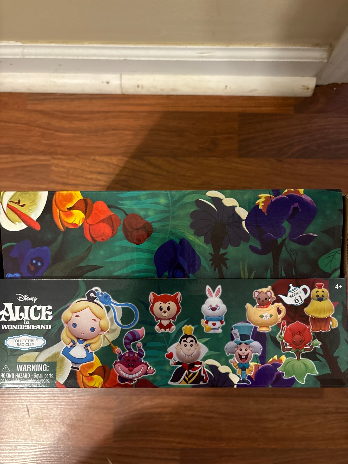 Alice in Wonderland blind bags